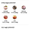힐링비만