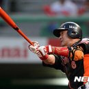 문규현 카카오 검색결과