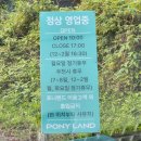 대암목장 | [울산 포니랜드] 🐴 아이랑 가볼만한 동물체험 추천 💚