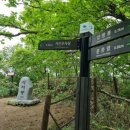 사자봉민박 이미지