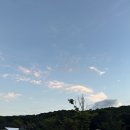 오리마실