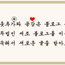 세무법인세조 이미지