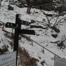 감나무식당 이미지