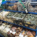 덕화상회 이미지