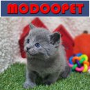 모두와샵 이미지