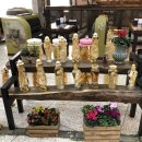 촌닭삼계탕 이미지