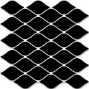 화이트스쿨 이미지