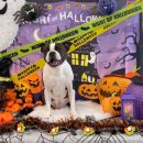 씻고놀개 이미지