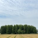 군산소문난해물칼국수 이미지