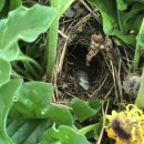 대서플랜트 이미지