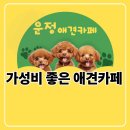독 | 파주 운정 애견카페 업독라이프 후기 가성비 입장료 3000원 수제간식 찐 추천 (주차 정보 포함)