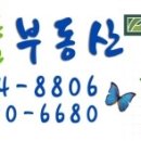 롯데데시앙공인중개사사무소 이미지