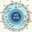 26년 5월