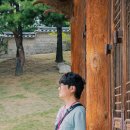 일정 | 수원 당일치기 여행 이산시티투어 코스 일정 후기