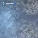 블루홀센터 이미지