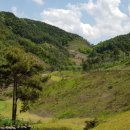 고령 유니벨리CC 이미지