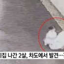 상2어린이집 네이버블로그
