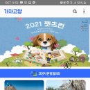 여행가자 이미지