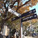 남문길 이미지