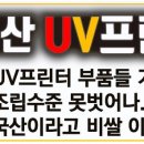 디엔피플