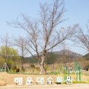 죽성여인숙 네이버블로그