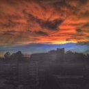 라이언당구장 이미지