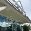 서울연촌초등학교 | [수영] 연촌초 실내 수영장 자유수영 후기 &amp; 킥판 사용 가능 여부