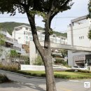 하오개길 이미지