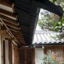 사랑나무민박 이미지