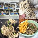 솔이네야채