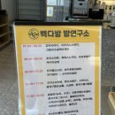 청년다방화성남양점 | 화성 가볼 만한 곳 빽다방 빵연구소 화성남양점 후기 빵 나오는 시간 참고