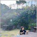 봄바람하우스 | [공지] 봄바람 하우스, 신규 오픈을 마음먹은 2가지 이유. 🏡