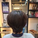 스파커치