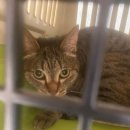 지안동물의료센터 이미지