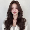 헤어;세나 네이버블로그