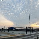 테라스파크 콘서트 이미지