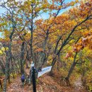 12 | 가을 설악산단풍 무박 종주(오색-대청봉-공룡능선-백담사) 21km/12시간 후기