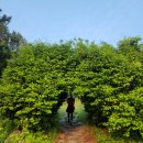 백야항관광안내소 | 여수 하화도 백패킹: 이장님네 '와쏘와쏘'와 빨간 텐트의 추억