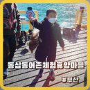 동삼동 어촌체험마을 이미지