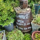 사계의들녘 이미지