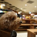 에이오에스 이미지