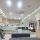 느티나무내과의원 네이버블로그