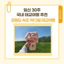 별난집김밥 | 임신30주, 국내 태교여행 1박 2일 강원도 속초여행 후기♡