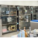 믿음동물병원 이미지