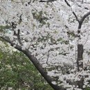 봄나들이 미술관투어 이미지