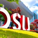 동서대학교 선교복지대학원 이미지