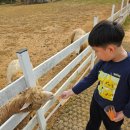 청운목장 이미지