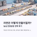 라면공장 | 농심 안양공장 견학 후기, 라면 생산 과정 직접 보는 체험학습 추천