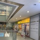 티나쌤잉글리쉬 | 잉글리쉬에그 은평진관센터 - 이관시 주의사항 등