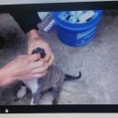 사금농장 이미지